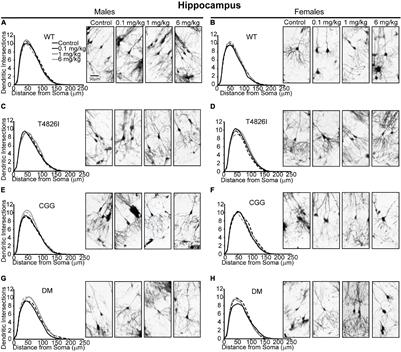 Sex and Genotype Modulate the <mark class="highlighted">Dendritic Effects</mark> of Developmental Exposure to a Human-Relevant Polychlorinated Biphenyls Mixture in the Juvenile Mouse